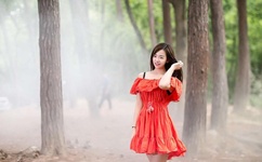 神途总登录器app